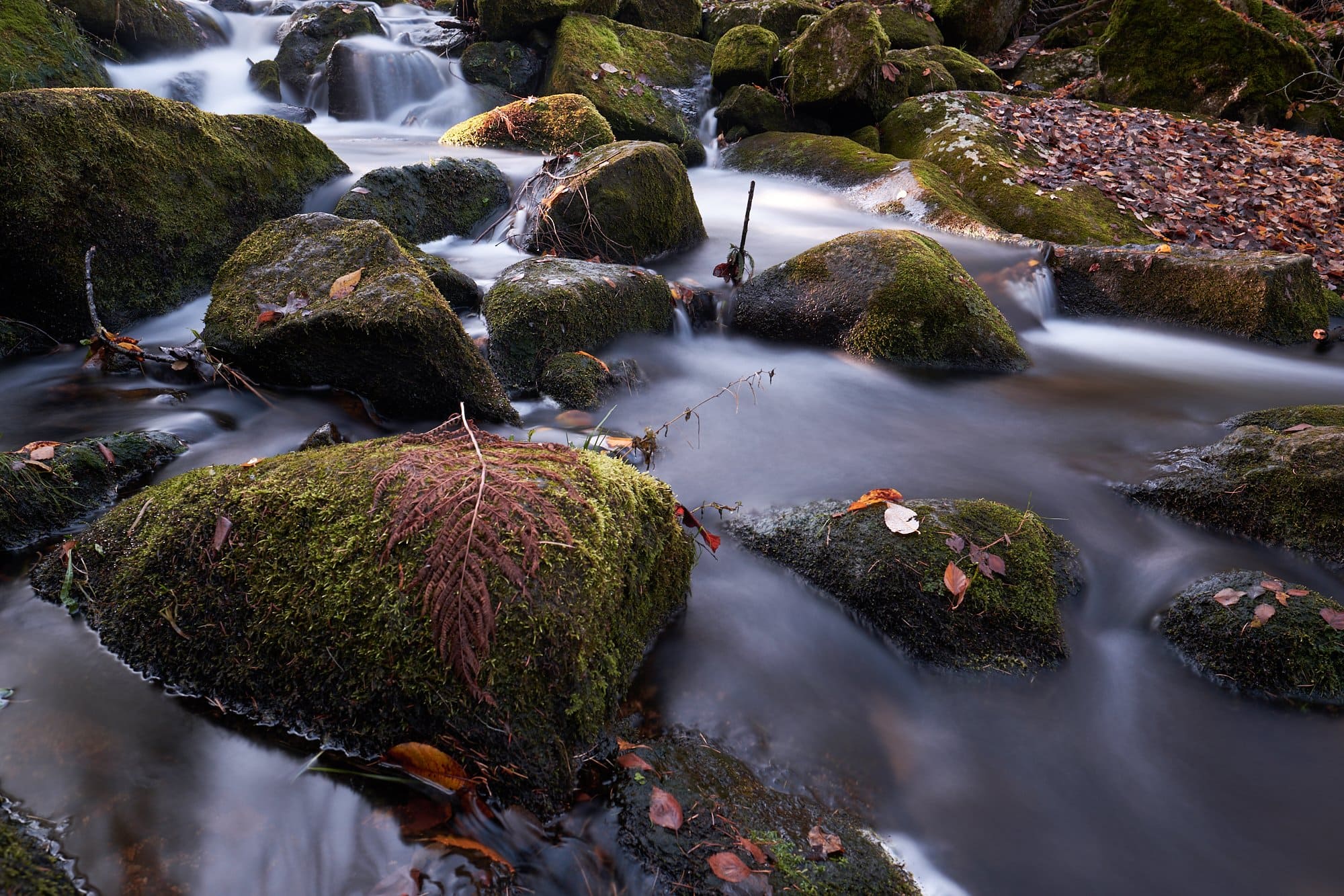 Long exposure in Triberg, Schwarzwald