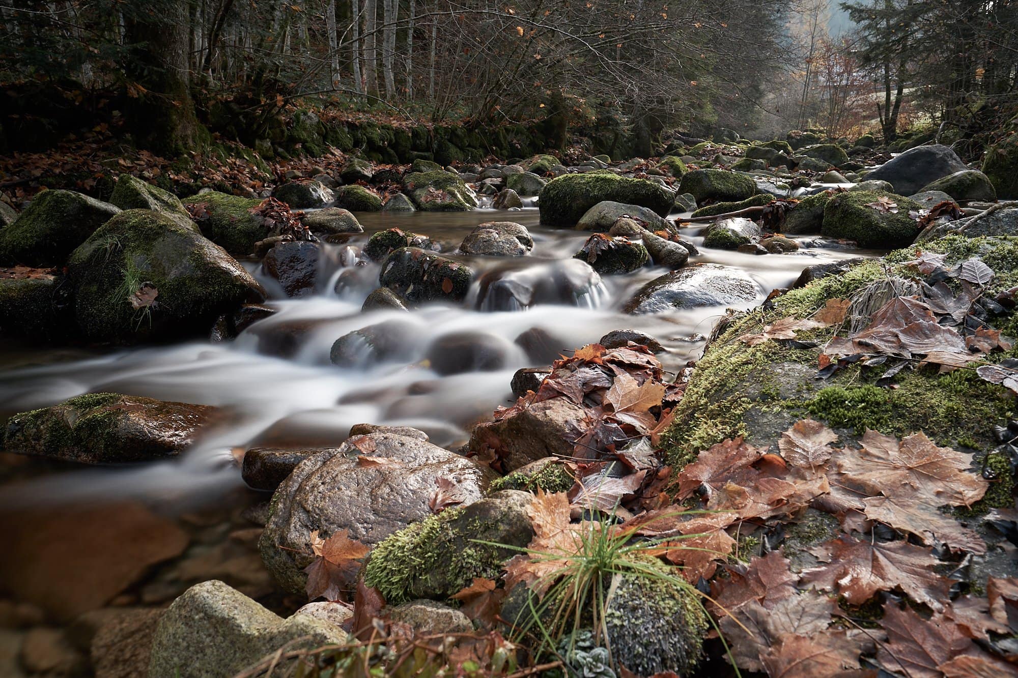 Longexposure am Bachlauf