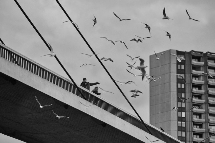 Ein bisschen Hitchcock gibt es auch in #Mannheim