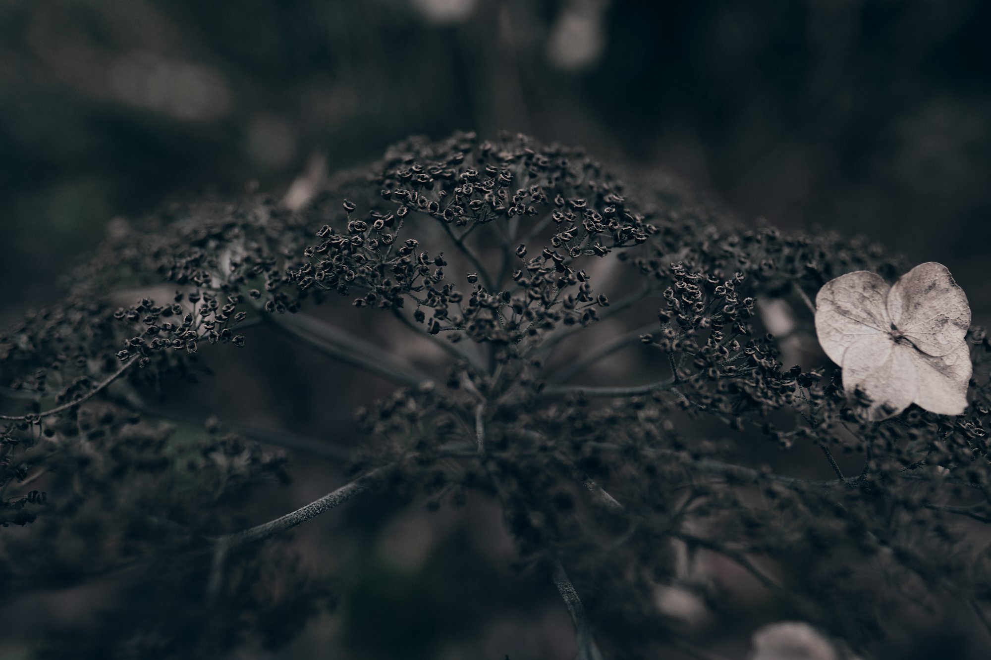 Darkness falls across the land.