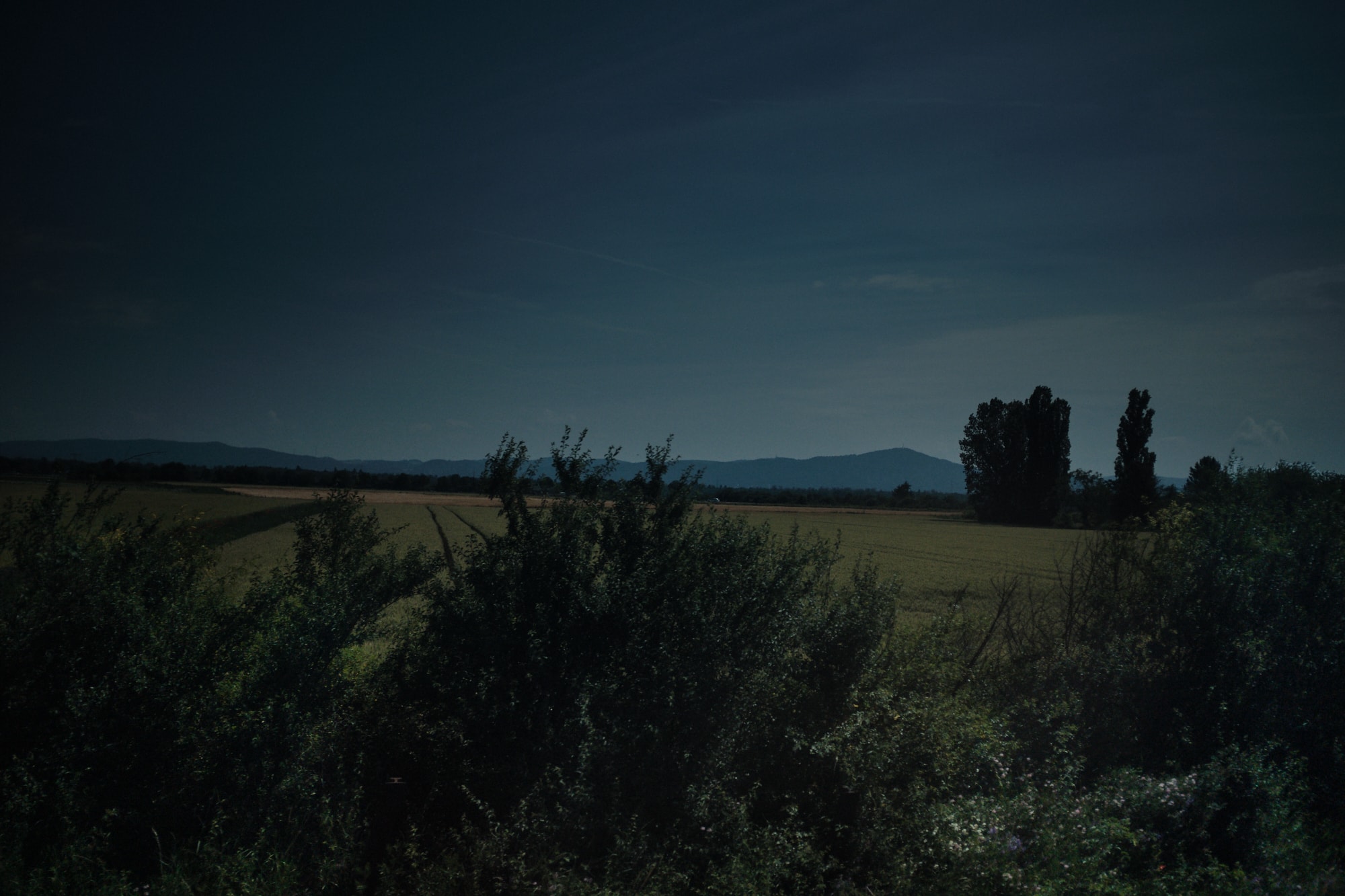 Darkism