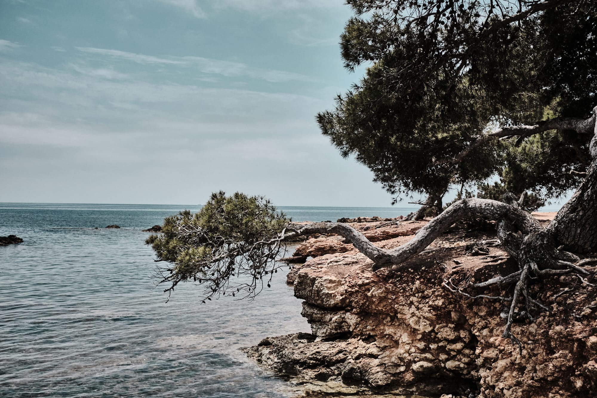 Küsten Ibizas