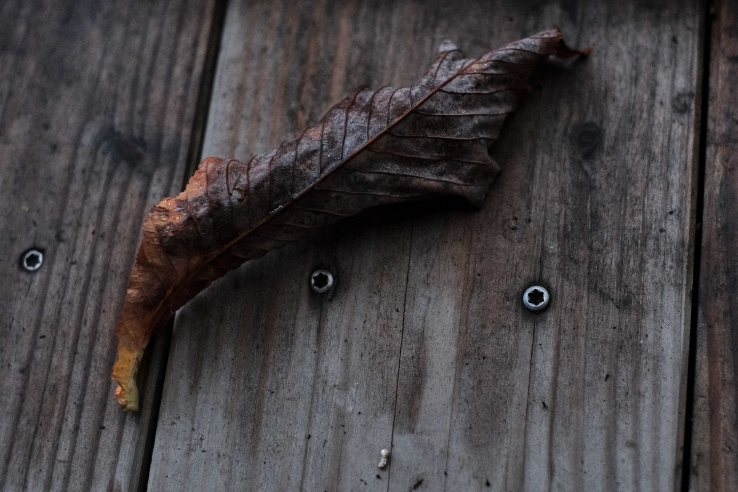 Herbst