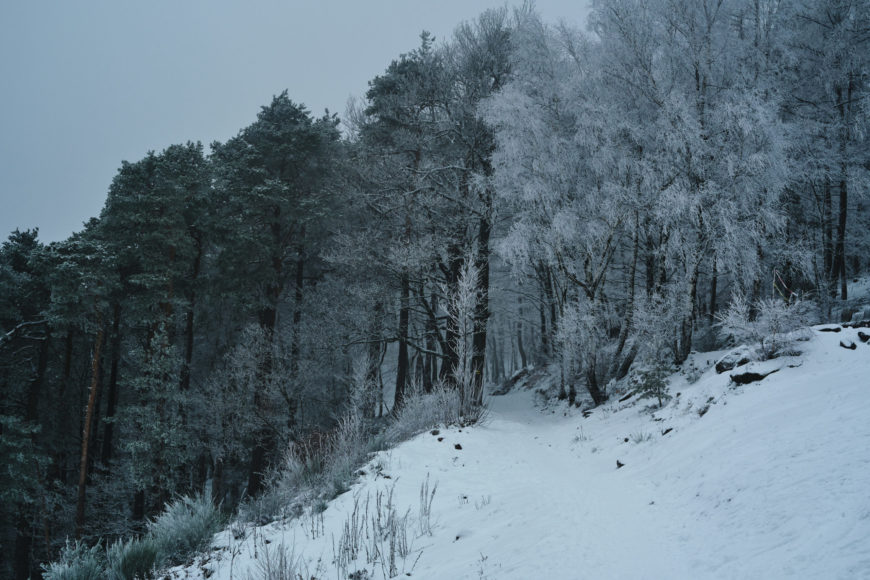 Winterwonderland auf 550m