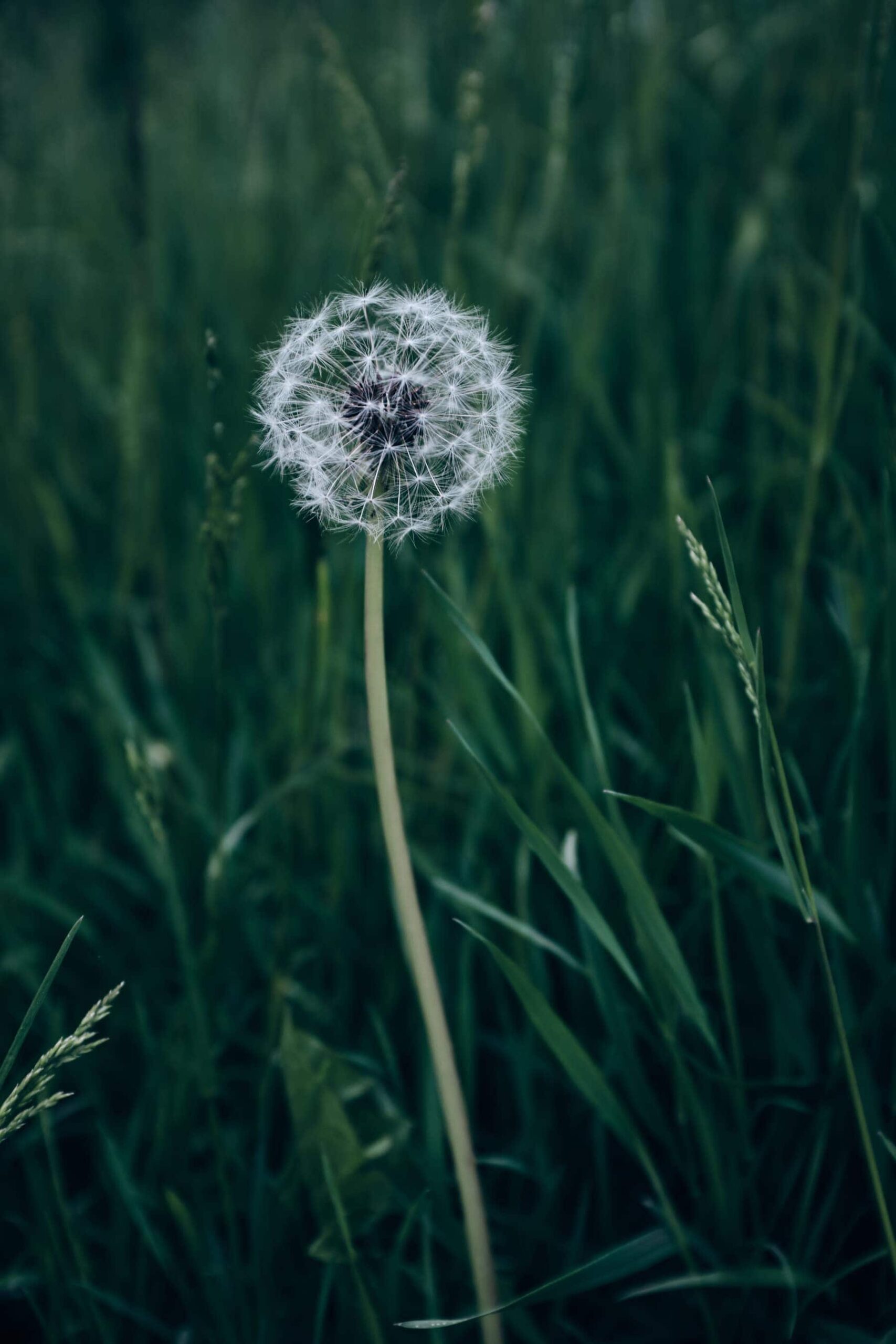 Just green