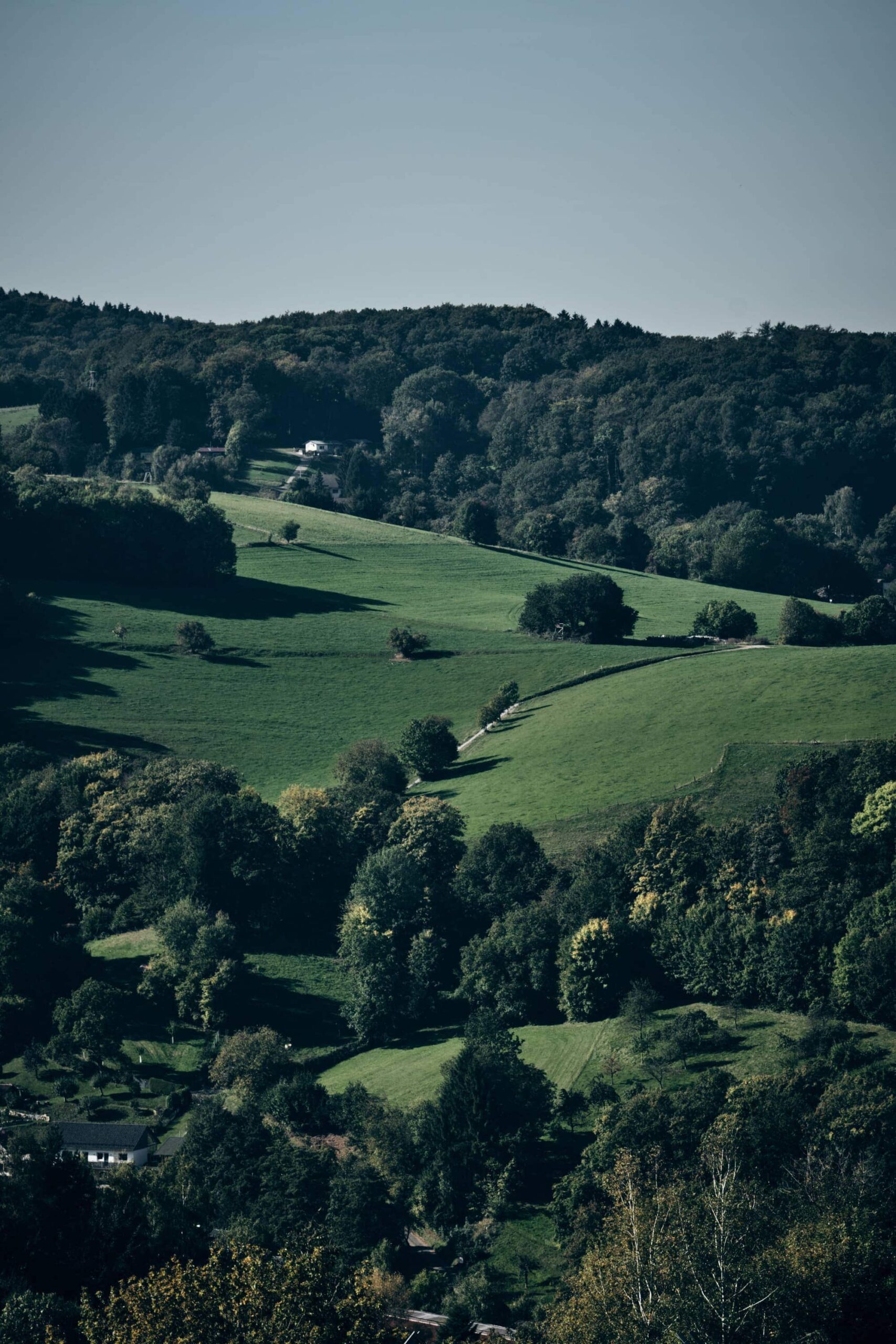 Oh du schöner Odenwald