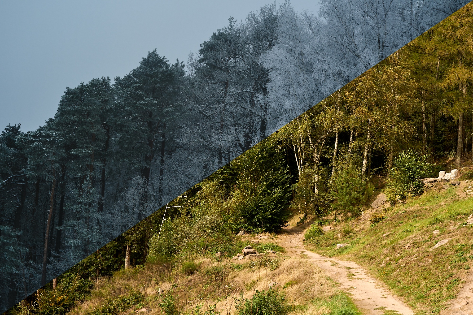 Landschaft im Wandel der Jahreszeiten